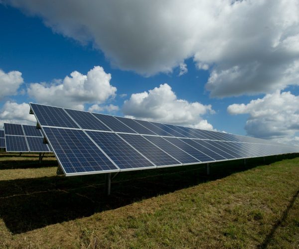solar panels on green field