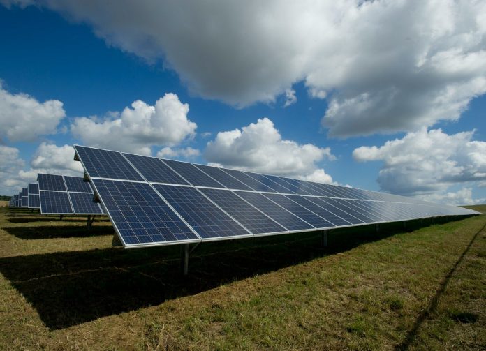solar panels on green field